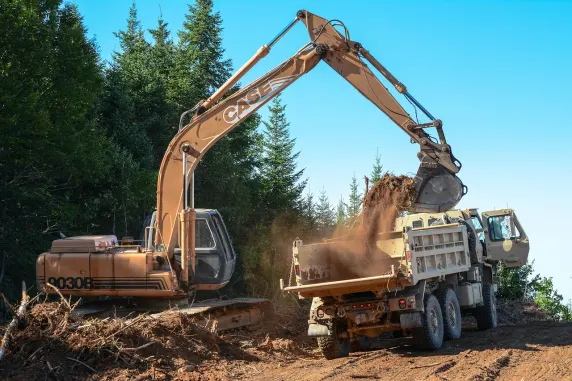 Casino Jackpot Paradise Assistance